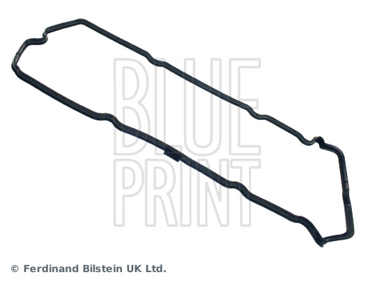 Blue Print ADN16755