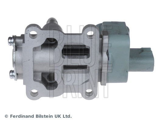 Blue Print ADH274205