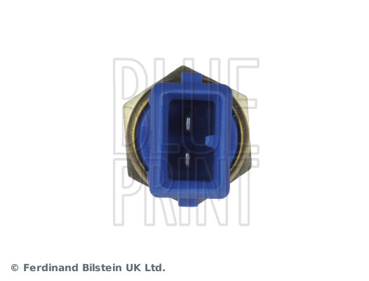 Blue Print ADJ137203