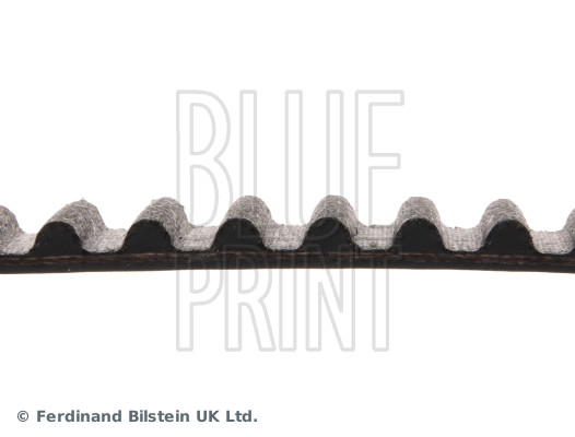 Blue Print ADM57526
