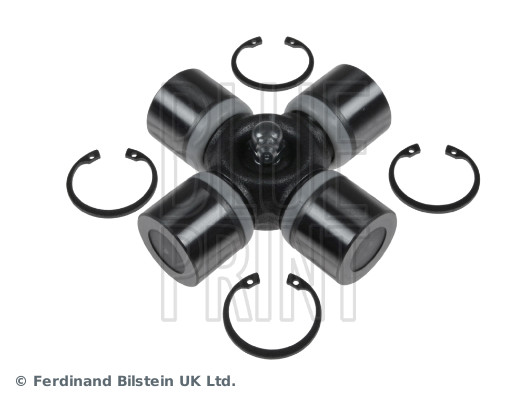 Blue Print ADJ133901