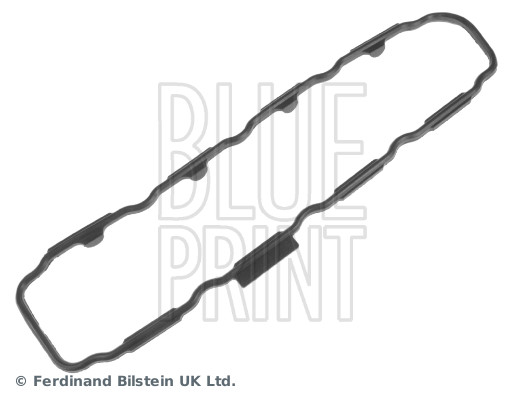 Blue Print ADN16753