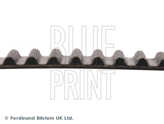 Blue Print ADZ97516