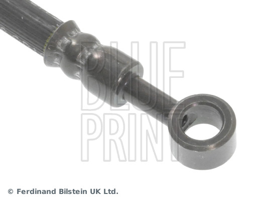 Blue Print ADG053129