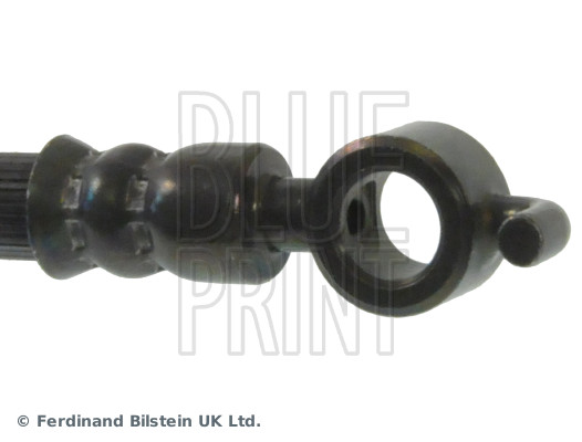 Blue Print ADG053148