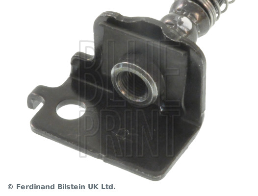 Blue Print ADG053148