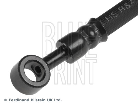 Blue Print ADG053142