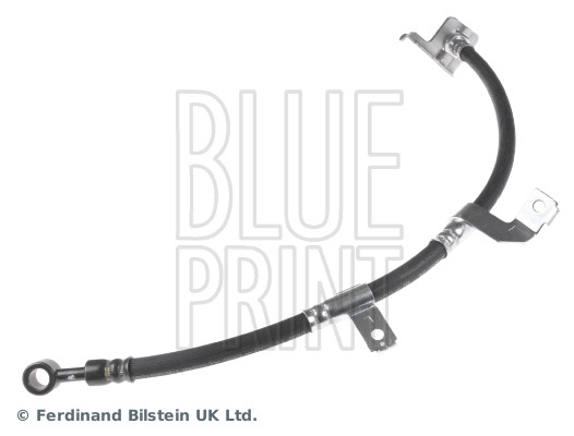 Blue Print ADG053137