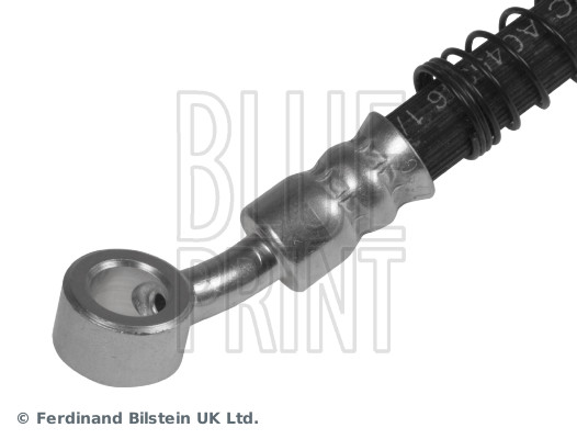 Blue Print ADG053208