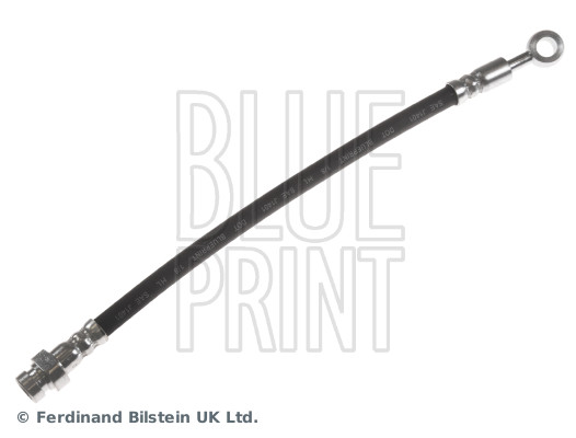 Blue Print ADG053218