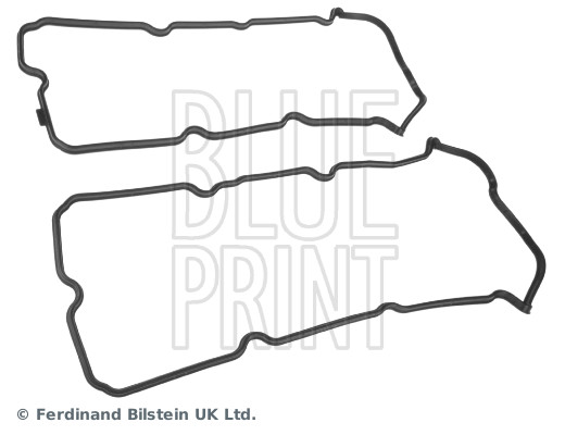 Blue Print ADN16732