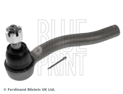 Blue Print ADN187184