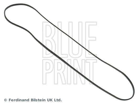 Blue Print ADZ96713
