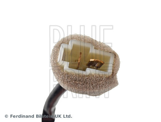 Blue Print ADG00312
