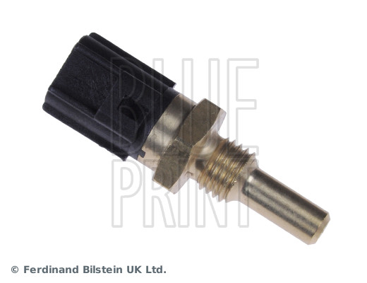 Blue Print ADM57215