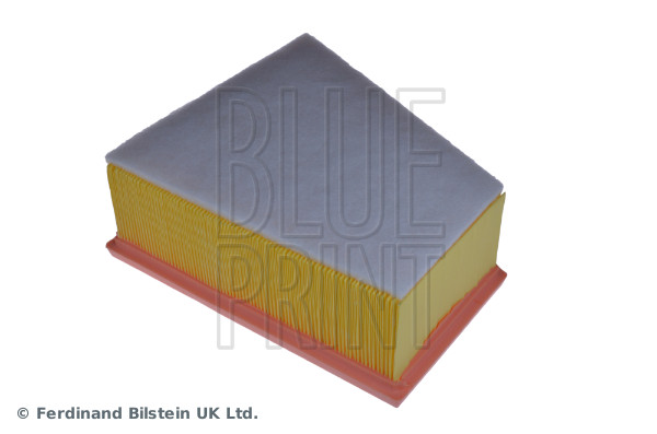 Blue Print ADV182218