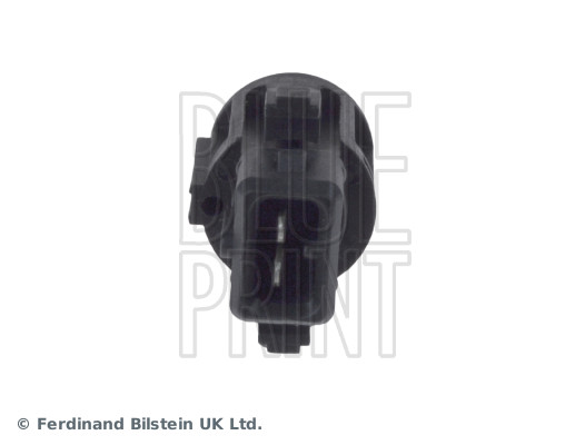 Blue Print ADJ137226
