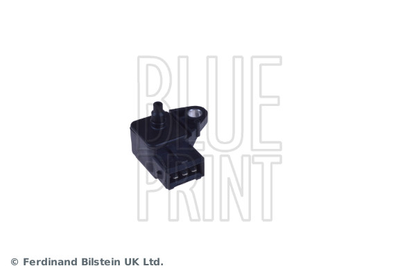 Blue Print ADJ137404