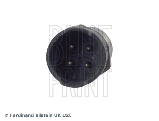 Blue Print ADJ137227