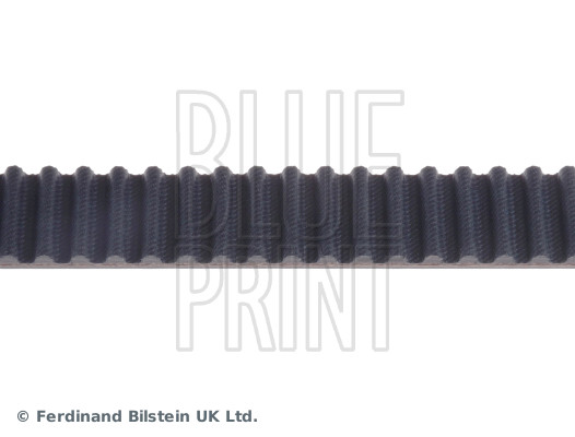 Blue Print ADJ137504