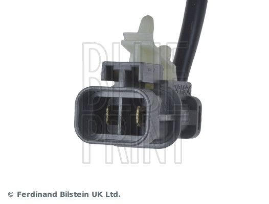 Blue Print ADN10325