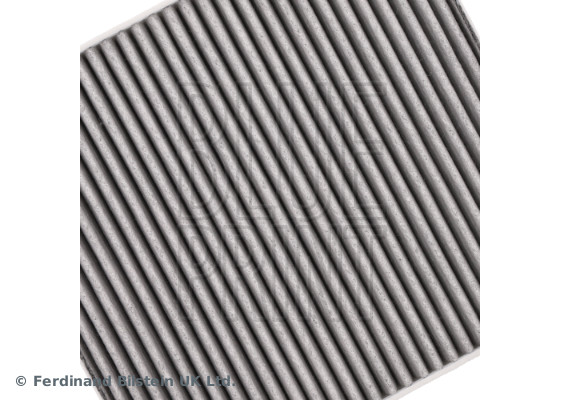 Blue Print ADV182513