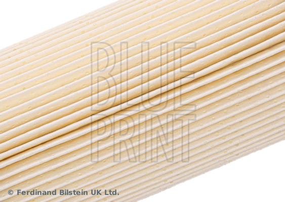 Blue Print ADV182312