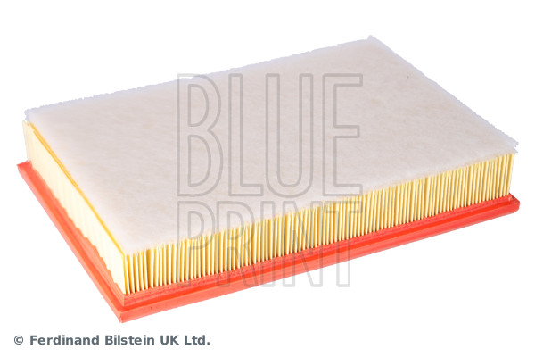 Blue Print ADV182230