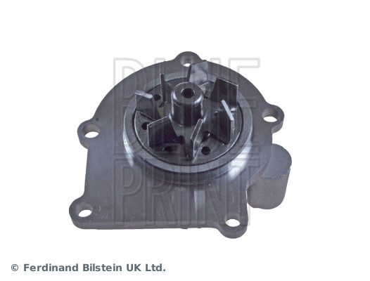 Blue Print ADJ139124