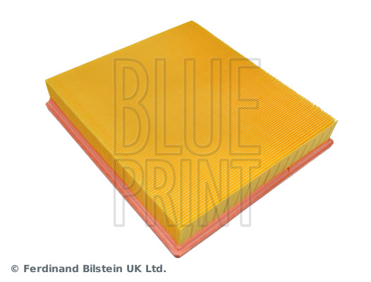 Blue Print ADF122211