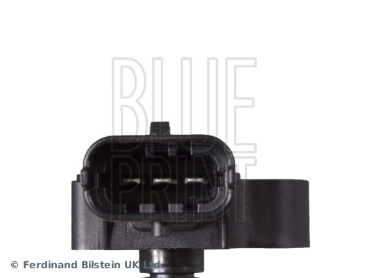 Blue Print ADG074238