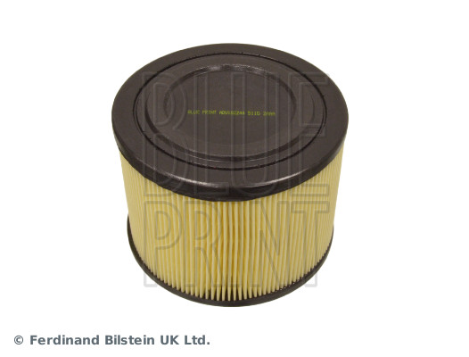 Blue Print ADV182244