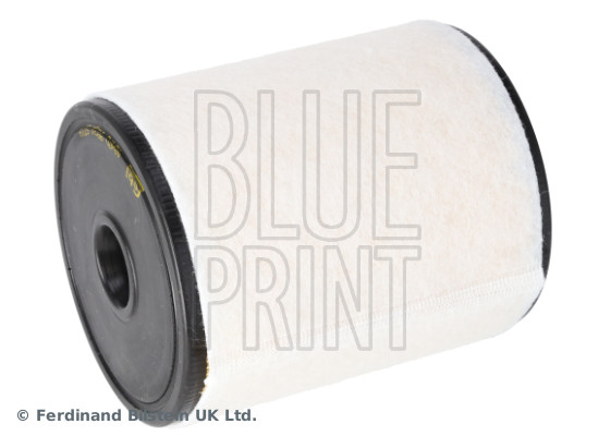 Blue Print ADV182250