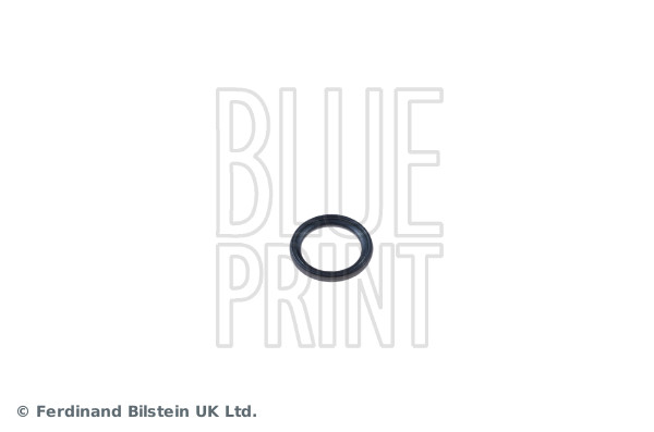 Blue Print ADA100106