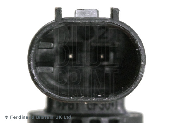 Blue Print ADG072101
