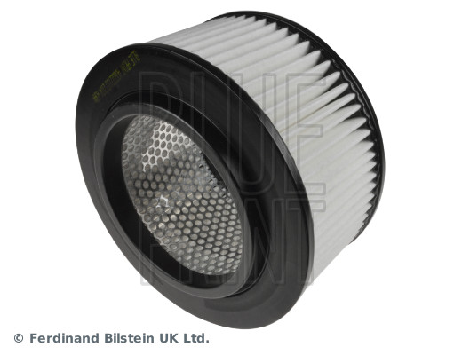 Blue Print ADG022110