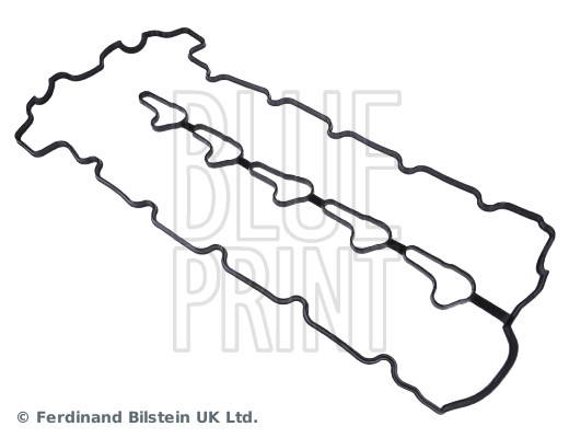 Blue Print ADG06767