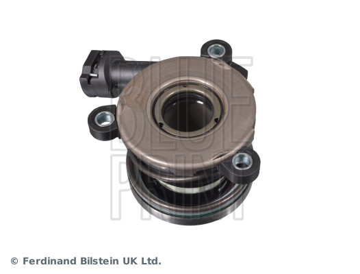 Blue Print ADG03667