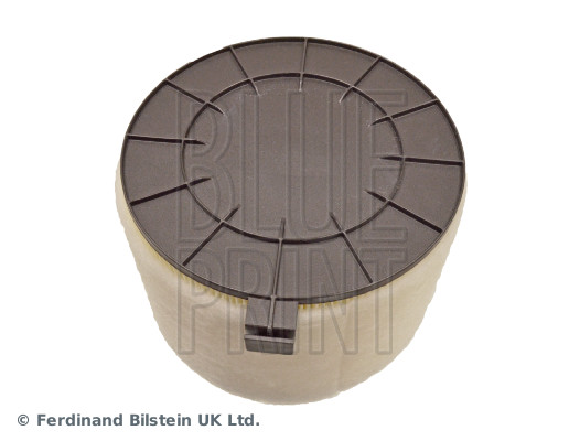 Blue Print ADV182260