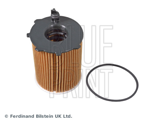 Blue Print ADF122115