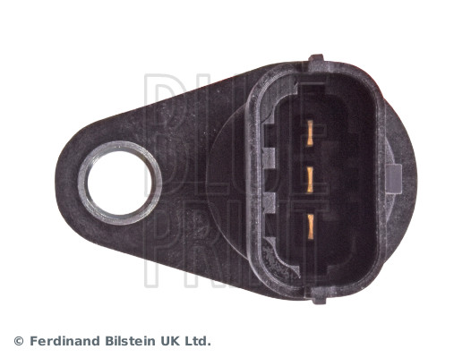 Blue Print ADG072108