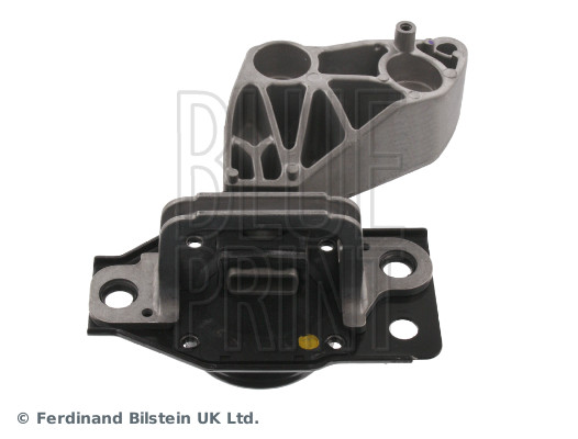 Blue Print ADN180157