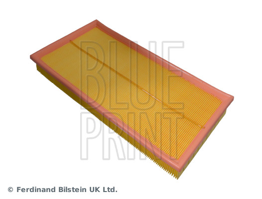 Blue Print ADV182134