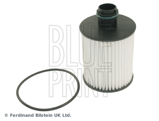 Blue Print ADW192110