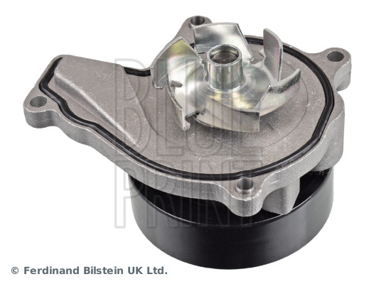 Blue Print ADB119106