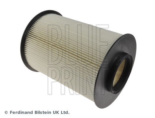 Blue Print ADF122117