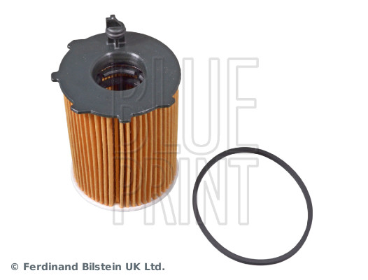 Blue Print ADF122117