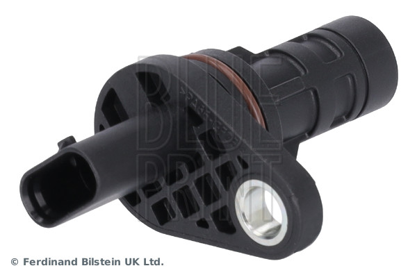 Blue Print ADG072124