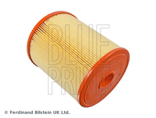 Blue Print ADV182257