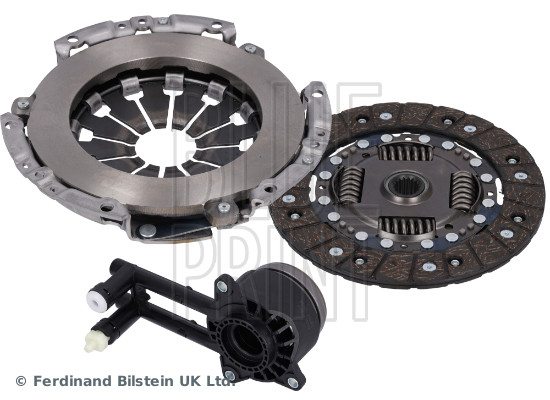 Blue Print ADF123099